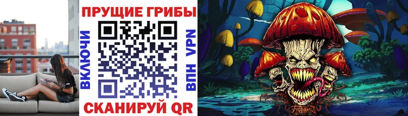 Псилоцибиновые грибы Cubensis omg вход Разумное